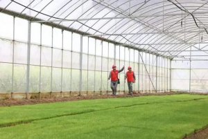 �������ϵ����������Ƽ������� ����ũʱ����